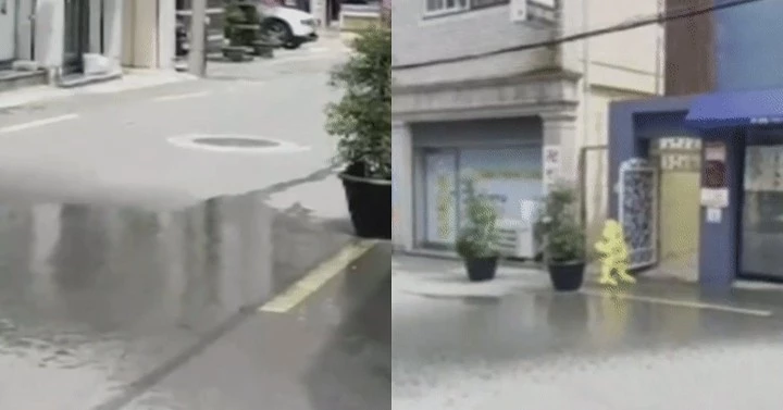 / 뉴스1, 인스타그램