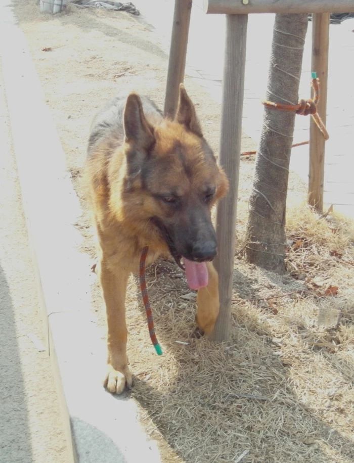이하 기사와 관련 없는 사진 / 연합뉴스
