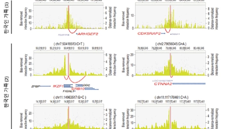 비-부호화 유전변이의 자폐 연관성 실험적 증명- 3차원 염색질 상호작용 분석을 통해, 비-부호화 유전변이가 멀리 떨어져 있는 유전자의 발현에 영향을 미칠 수 있음을 규명.