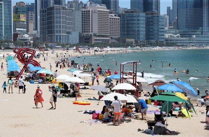 기사와 관련 없는 이미지