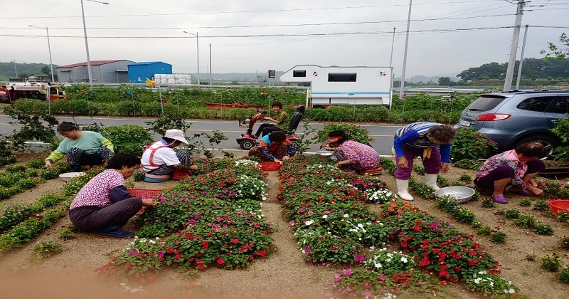 충북도와 증평군의 함께 만드는 행복마을 사업 현장 모습.