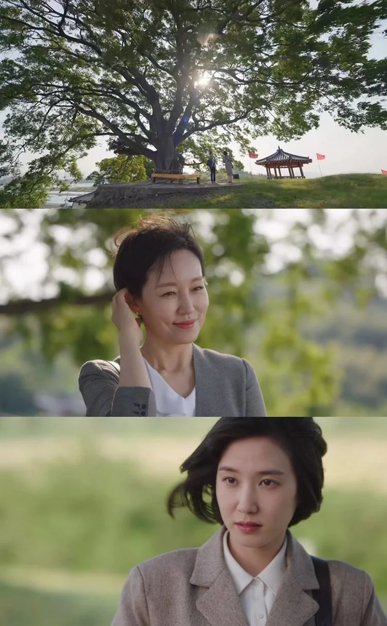 ENA '이상한 변호사 우영우'