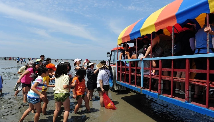 고창갯벌축제(2019년) / 고창군