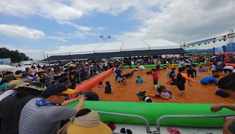 고창갯벌축제 2019년 / 고창군