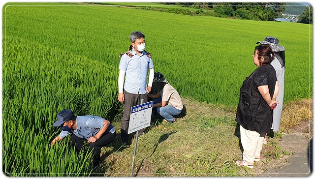 농업기술센터 직원이 농업인에게 폭염 대비 농작물 관리를 당부하고 있다.