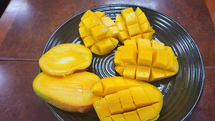 애플망고 시식준비 / 옥천군농업기술센터