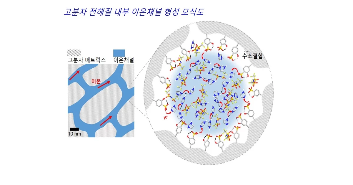 고분자 전해질 내부 이온채널 형성 모식도    / POSTECH 제공