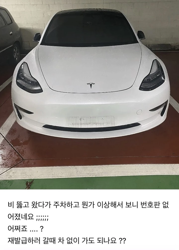 클리앙 글 '폭우에 번호판을 잃어버린 테슬라들' 캡처. / 이하 클리앙