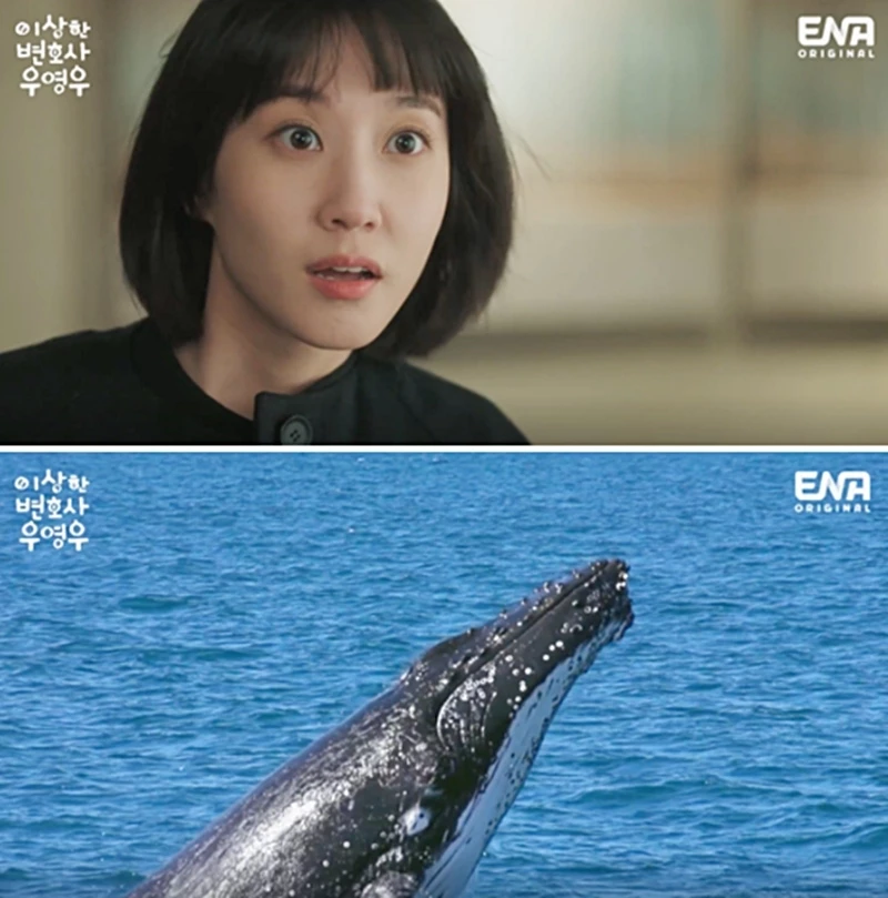 ENA '이상한 변호사 우영우'