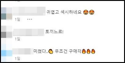 하느르 인스타그램 댓글창 캡처