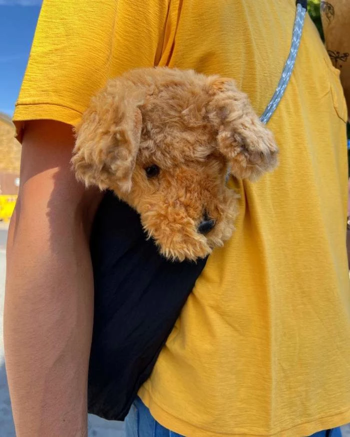 이하 마이큐 인스타그램