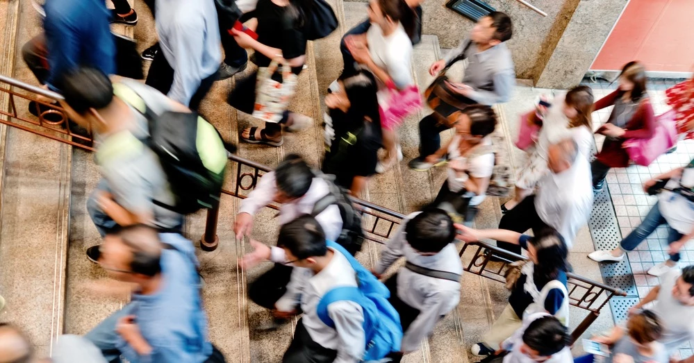 위 사진은 이해를 돕기 위한 것으로 해당 기사 내용과 무관합니다. /estherpoon-shutterstock.com