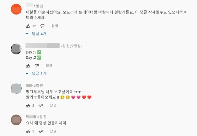 유튜브 땅끄부부 댓글 상황