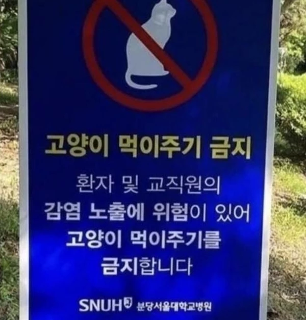 서울대병원이 게시했던 안내문 / 인터넷 커뮤니티 포모스 캡처