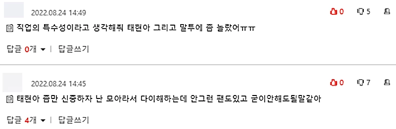 이하 온라인 커뮤니티 '네이트판' 댓글 창