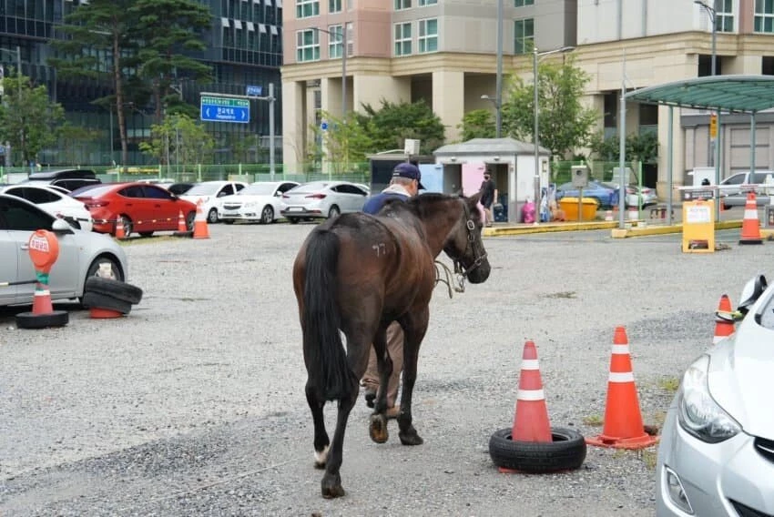 '김성회의 G식백과' 영상 캡처