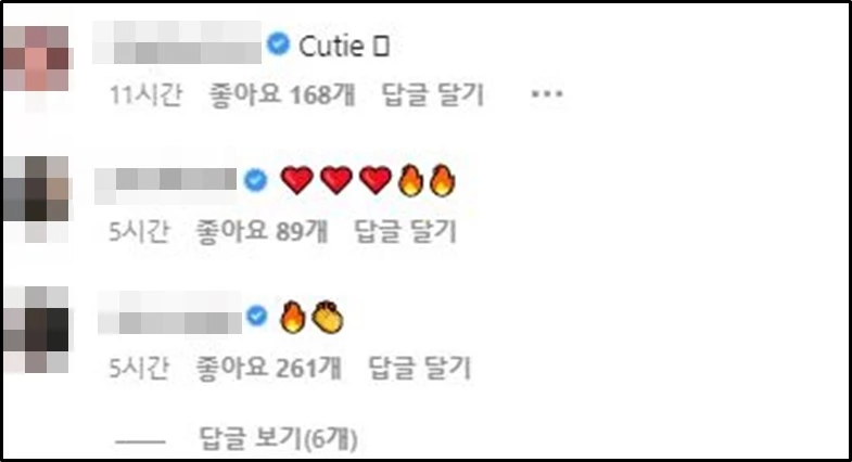 이하 제시 인스타그램 댓글창 캡처