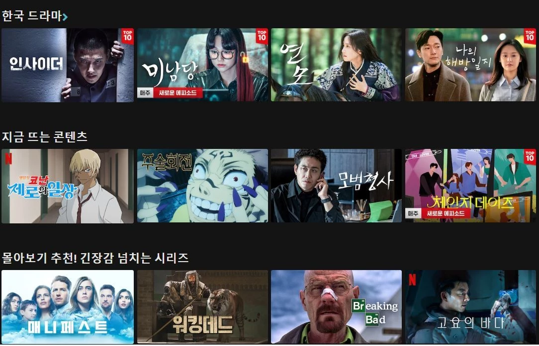 이하 넷플릭스