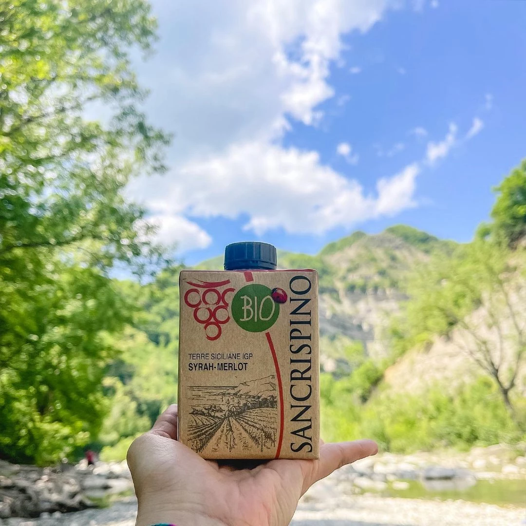 산크리스피노 인스타그램