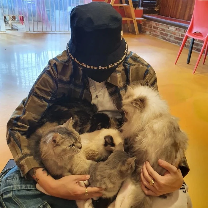 조광일