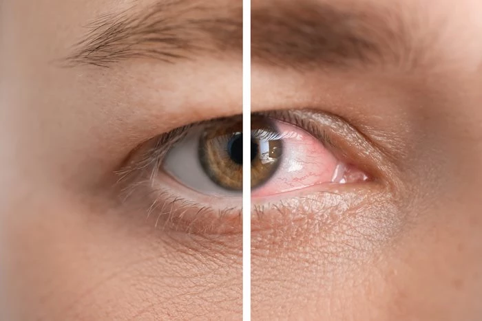 Pixel-Shot-shutterstock.com