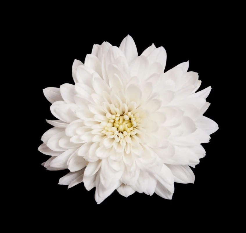 기사와 관련없는 사진 / Ta_Ro-shutterstock.com