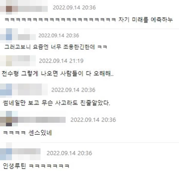 온라인 커뮤니티 '에펨코리아' 댓글 창