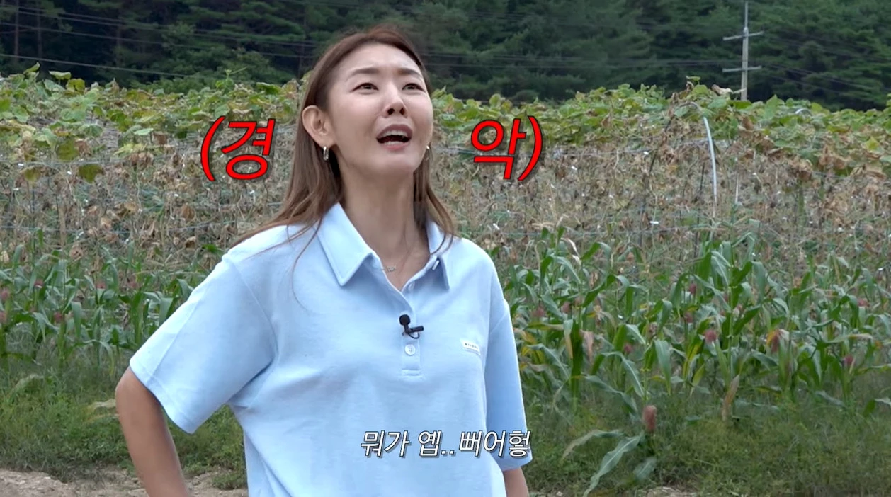 이하 유튜브 '한혜진 Han Hye Jin'