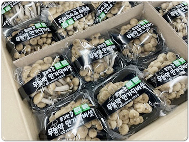 만가닥버섯
