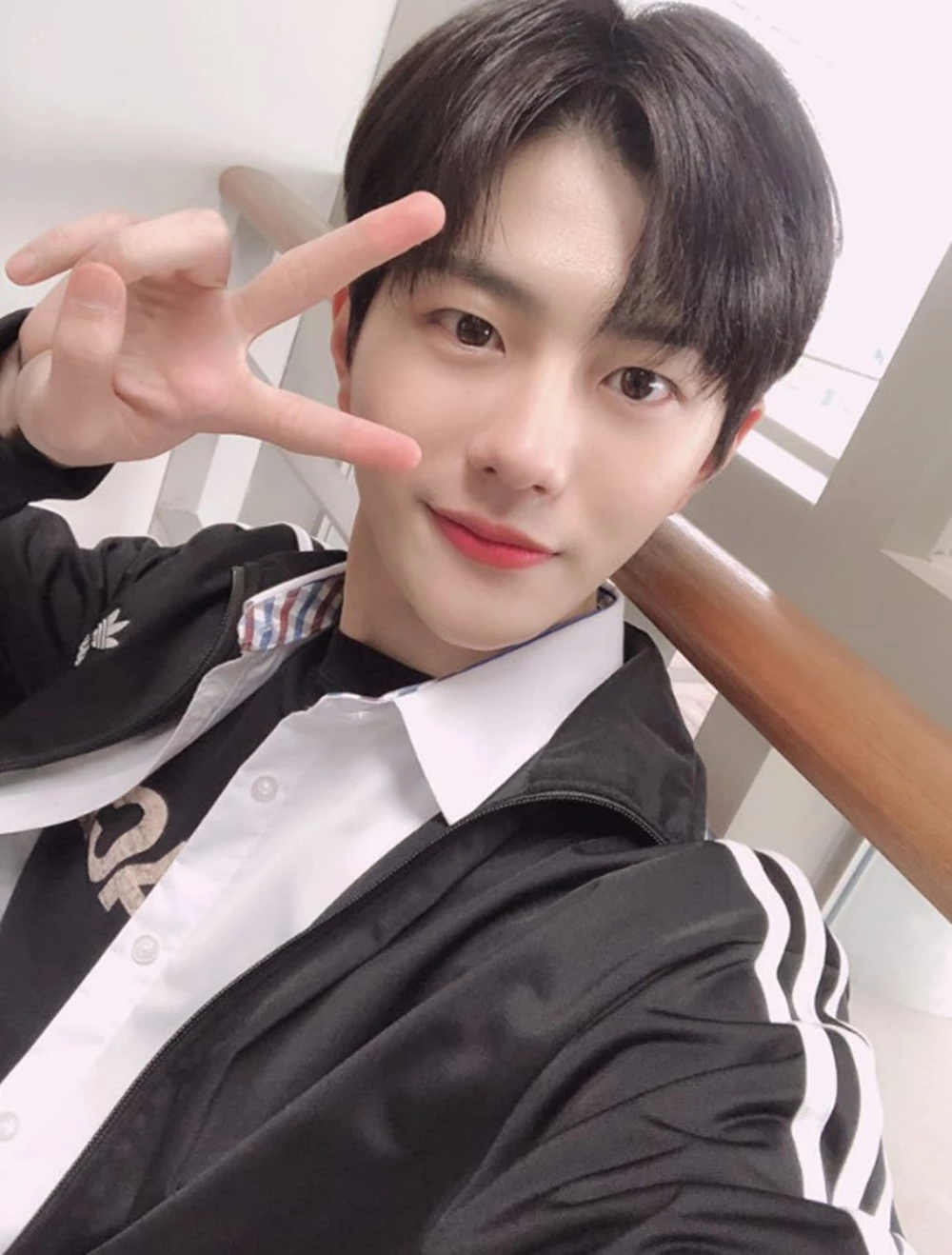 골든차일드 공식 트위터