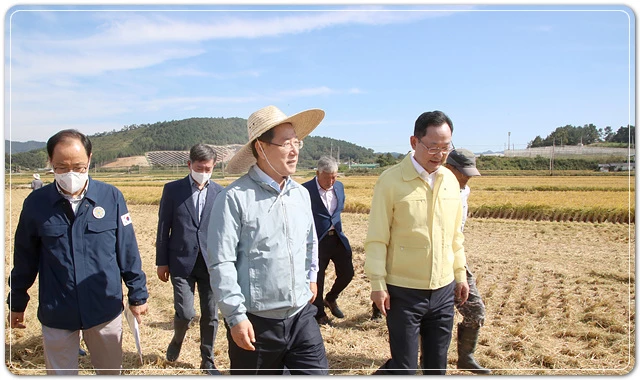 김영록 전라남도지사가 1일 벼 수확이 한창인 해남군 옥천면 들녘을 찾아 벼 작황과 농가 애로사항을 청취하고, 수확현장을 둘러보고 있다.