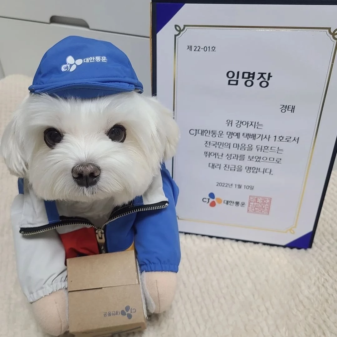 반려견 '경태' / '경태희 아부지' 인스타그램에 올라왔다가 현재는 삭제된 사진