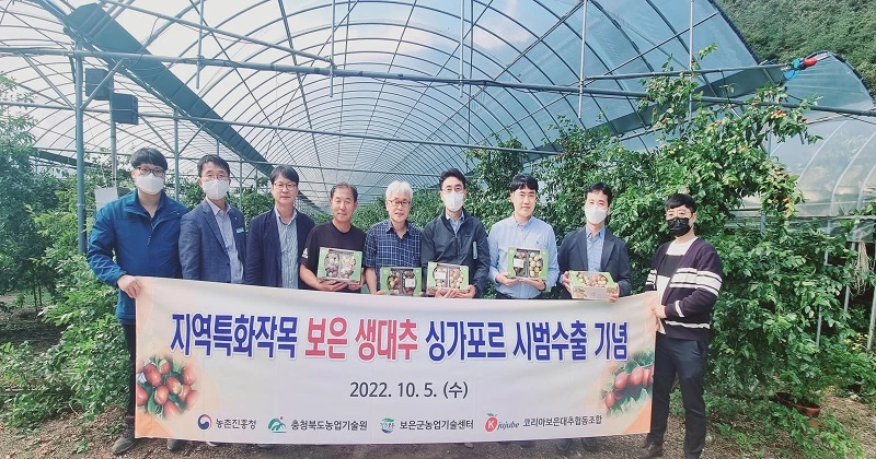 충북농업기술원은 보은 생대추의 새로운 수출시장 확대를 위해 싱가포르 시범 수출을 주도하고 있다.