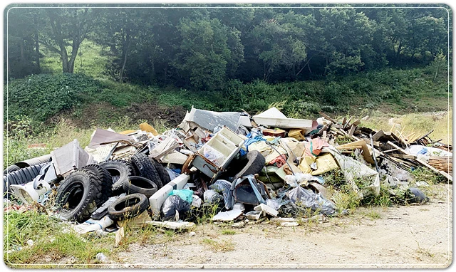 산림_내_쓰레기가_무단으로_적치되어_있다.