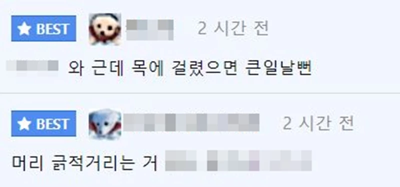에펨코리아에 달린 댓글
