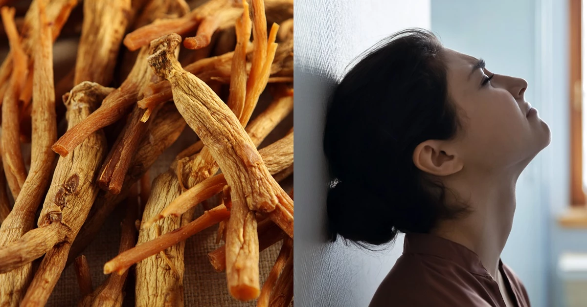 위 사진은 이해를 돕기 위한 것으로 해당 기사 내용과 무관합니다. /stciel·fizkes-shutterstock.com