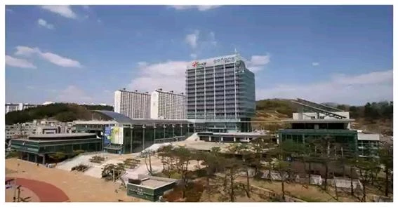 경북 포항시청 전경 / 포항시 제공