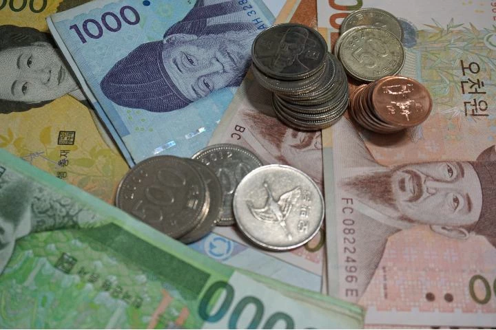 기사와 직접적인 관련 없는 사진. / Ansei-Shutterstock.com