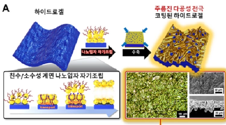 친수/소수성 계면 금 나노입자 자기조립 및 하이드로젤 수축을 이용한 주름진 다공성 전극의 하이드로젤 표면 코팅 개요도 / 한국연구재단