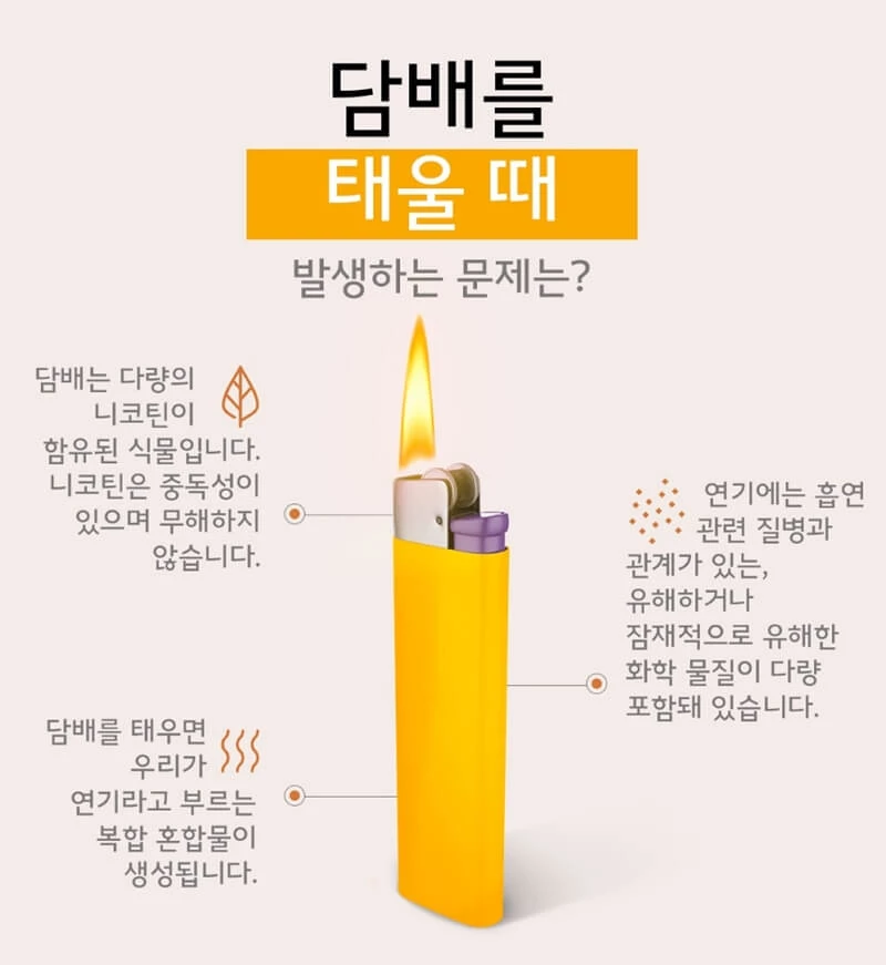 이하 한국필립모리스