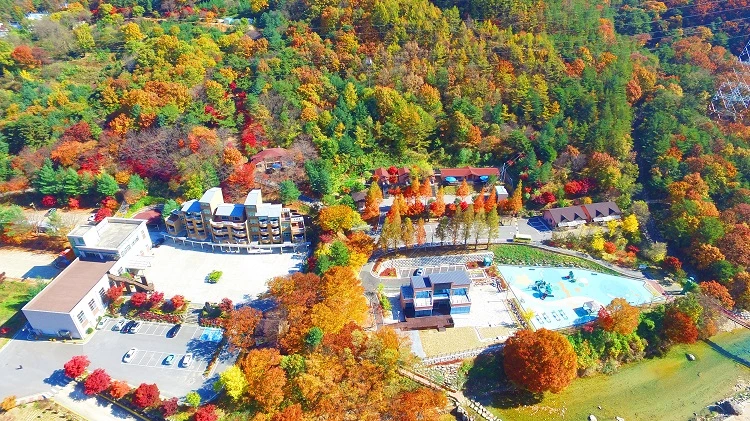 장령산 휴양림 / 옥천군