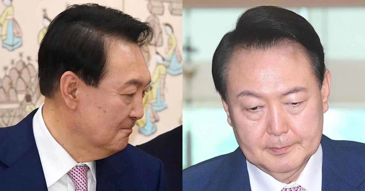 뉴스1