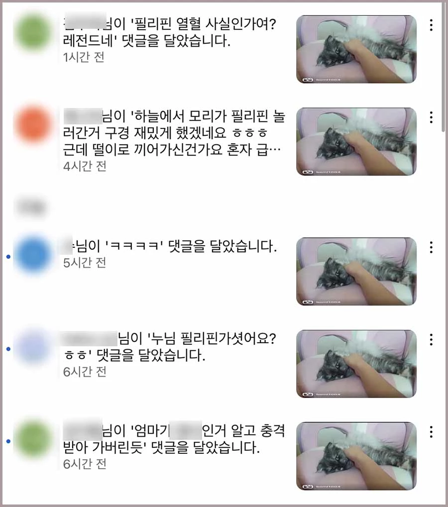 채보미가 공개한 DM.