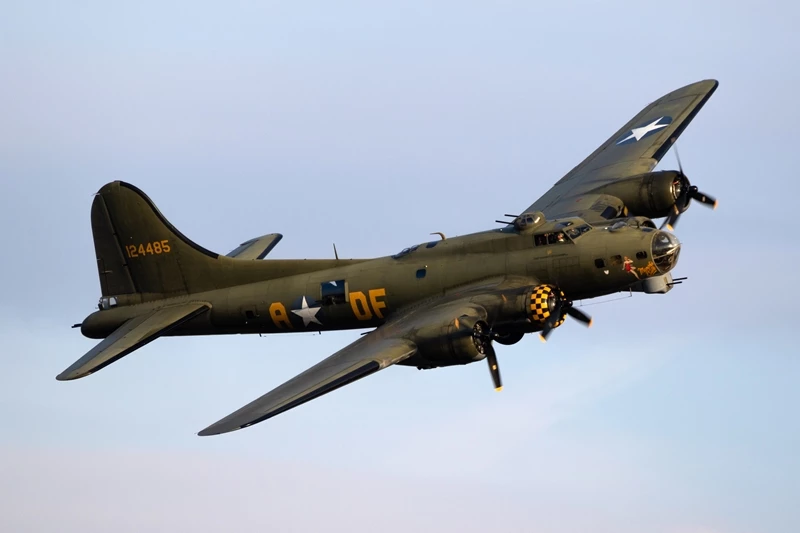 B-17. 기사의 이해를 돕기 위한 자료 사진 / VanderWolf Images-shutterstock.com