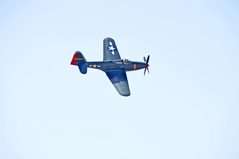 P-63. 기사의 이해를 돕기 위한 자료 사진 / Philip Pilosian-shutterstock.com