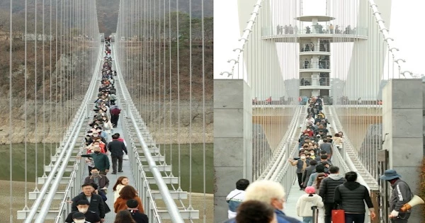 임실군