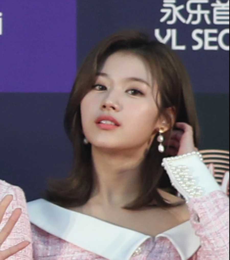 사나 자료 사진