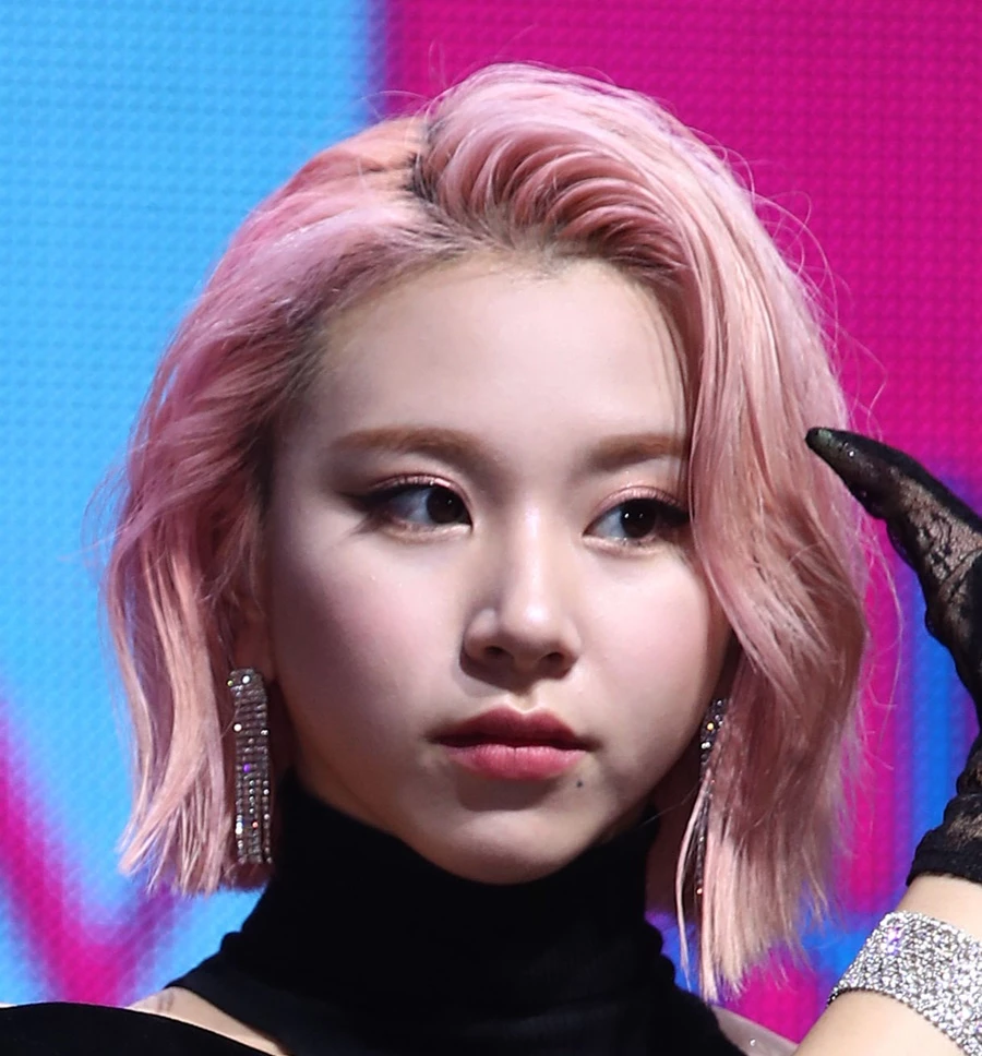 채영 자료 사진