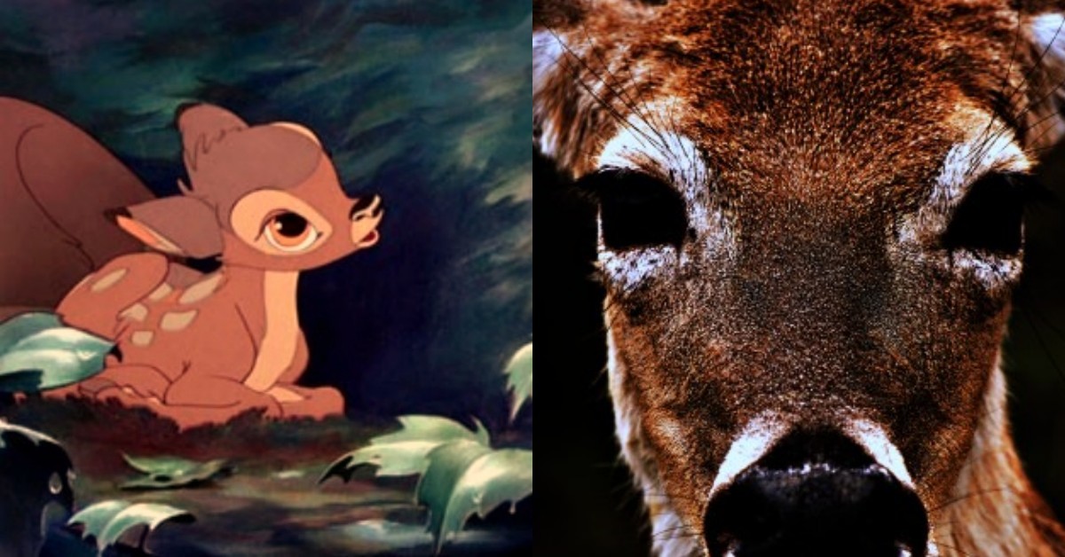 동심 파괴 현실로…현재 미국서 제작 중인 '실사' 영화, 정신이 아찔 ...