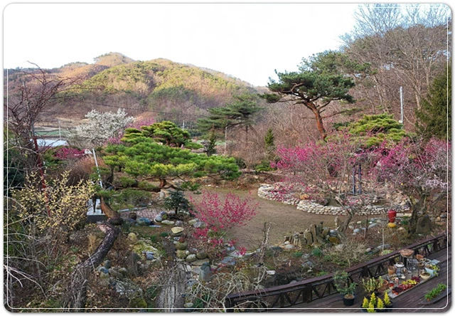 전라남도 민간정원 제19호 등록된 솔매음 정원 전경